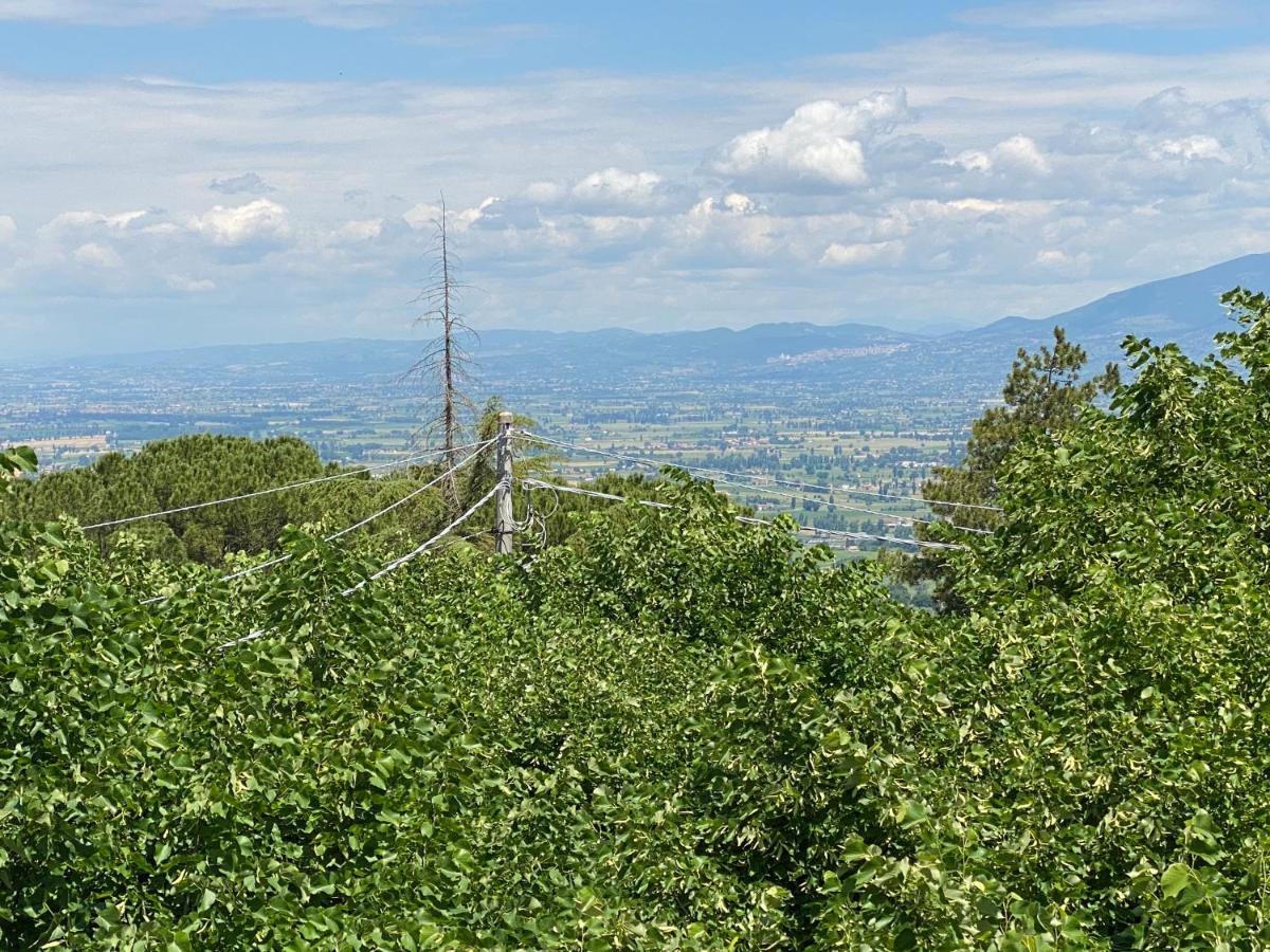 App. Con Terrazza Panoramica In Centro-Montefalco Exterior photo